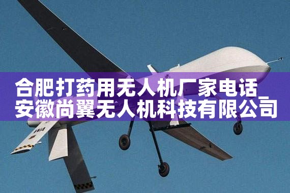 Ϸʴҩ˻ҵ绰|˻UAV