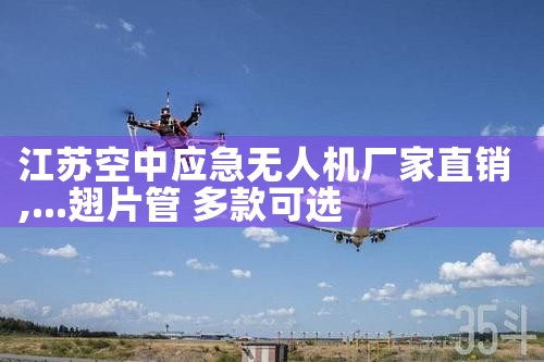 տӦ˻ֱ|˻UAV