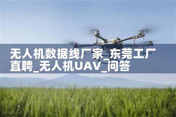 ˻߳|˻UAV