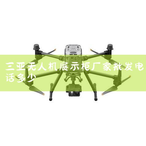 ӦòƷ˻2K/60fps,4K/30fpsƵ䡤ͼ˻̨ӡͼģӡ߽յƽ̨ӡGopro..._˻UAV